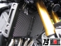 Mobile Preview: Kühlerabdeckung für Yamaha FZ1, FZ8,  FZ1 Fazer und FZ8 Fazer Schwarz/Silber