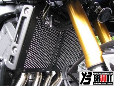 Kühlerabdeckung für Yamaha FZ1, FZ8,  FZ1 Fazer und FZ8 Fazer Schwarz/Silber